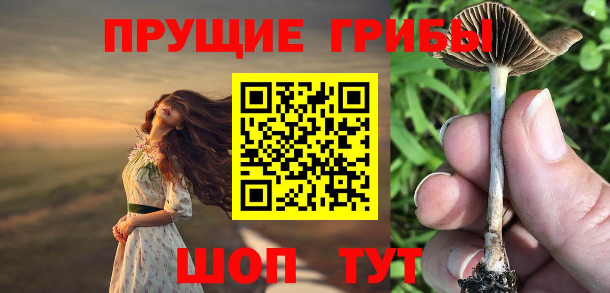 Псилоцибиновые грибы GOLDEN TEACHER  Вход с VPN  Новозыбков 